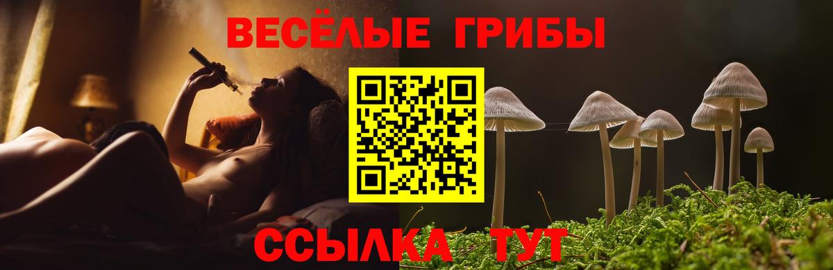 Псилоцибиновые грибы Cubensis Выборг